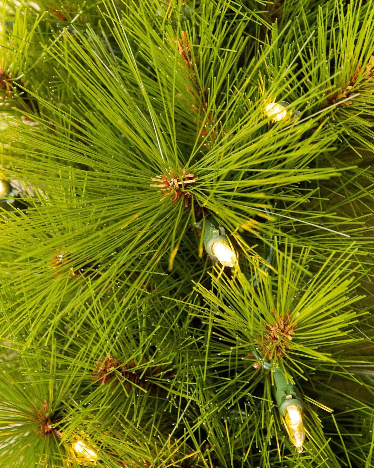 Árvore de Natal Verde Monterey Pine com Galhos Longos, Suporte Metálico e Micro LEDs Embutidos